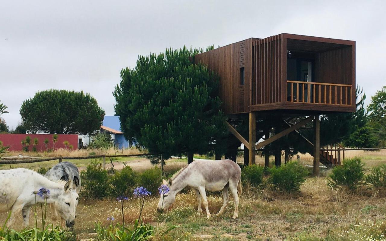 Pensión Tres Marias 3*